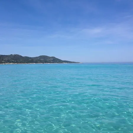 T2 Proche Saint Florent Clos D 公寓