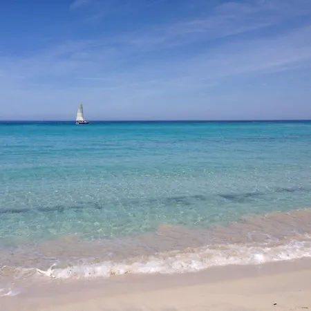Apartment T2 Proche Saint Florent Clos D *