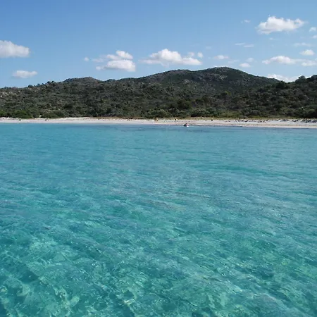 公寓 T2 Proche Saint Florent Clos D